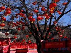 -八大处公园