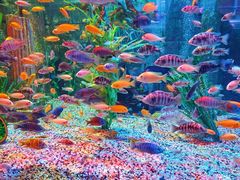 -正佳极地海洋世界