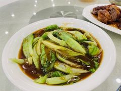 -姚林轩