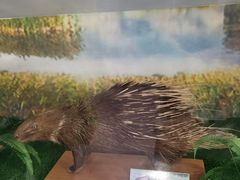 -下渚湖国家湿地公园科普馆