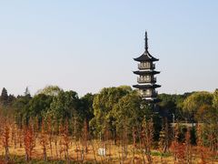 -太阳岛旅游度假区