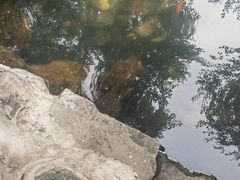 -郭守敬纪念馆