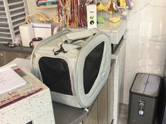-半岛宠物医院24小时·内窥镜·牙科·碎石中心(府城大道店)