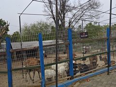 -武汉紫薇都市田园