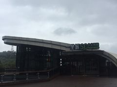 -金鸡山公园