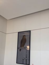 -AIST爱思特医疗美容医院