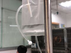 -成都民大动物医院