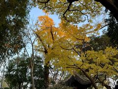 -秋霞圃