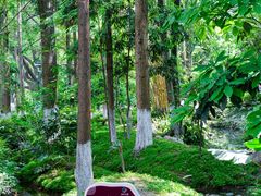 -成都市活水公园