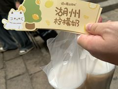 -猫的魔法密林(衣裳街店)
