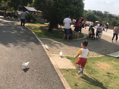 -无锡动物园·太湖欢乐园
