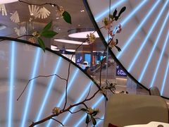 -望湘园·小雅(德基店)