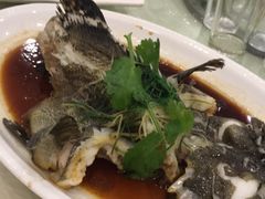 -螺涌海鲜酒楼(增槎路店)