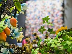-卓花境Flowerwonderland花店