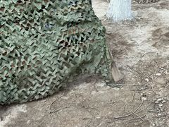 -亲兄弟真人CS团建拓展基地