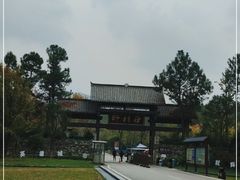 -黄陂区野村谷景区