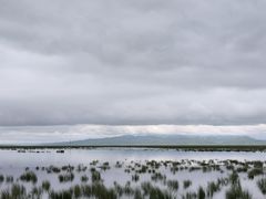 -花湖生态旅游区