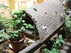 -猫的天空之城概念书店(杭州南宋御街店)