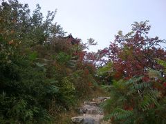 -北京鹫峰国家森林公园