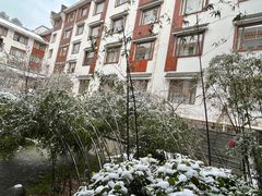 -九华山聚龙大酒店