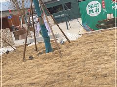 -阳坊胜利涮羊肉(阳坊老店)