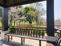 -广东花都湖国家湿地公园