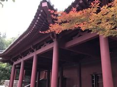 -西安华清御汤酒店