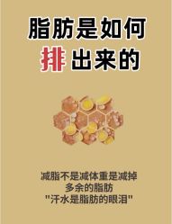 -Fundi张玉珊修身堂·indiba·BTL科技瘦身