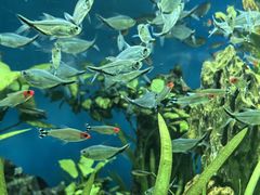 -太平洋海底世界