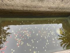 -蔡元培故居