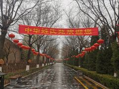 -大槐树寻根祭祖园