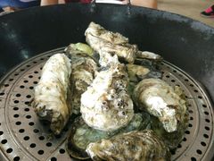 -蚝专家(北滘店)