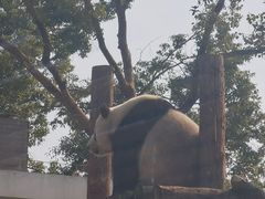 -武汉动物园
