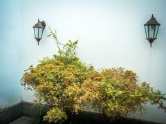 -乌镇望津里精品酒店