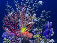 -成都浩海立方海洋公园