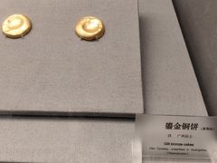 -广东省博物馆