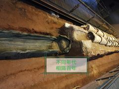 -南越王博物院(王宫展区)