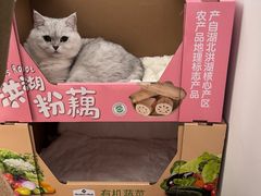 -山姆会员商店(亦庄创意生活广场店)
