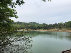 -南京市无想山景区