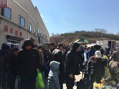 -李村大集