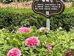 -洛阳市隋唐城遗址植物园