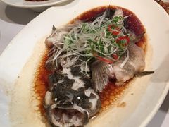 -老洋房花园饭店(绍兴路店)