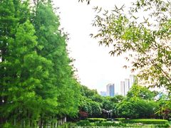 -金银湖国家城市湿地公园
