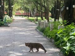 -北京市劳动人民文化宫(太庙)