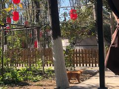 -草根堂农场