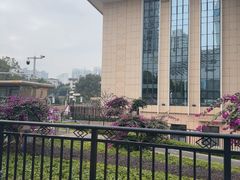 -广西壮族自治区博物馆