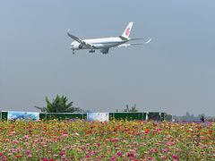 -空港花田景区