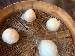 -四季春(美食街店)