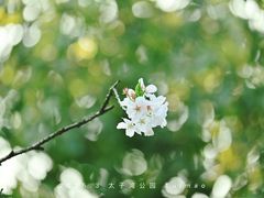 -杭州少年儿童公园