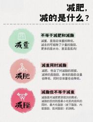 -Fundi张玉珊修身堂·indiba·BTL科技瘦身